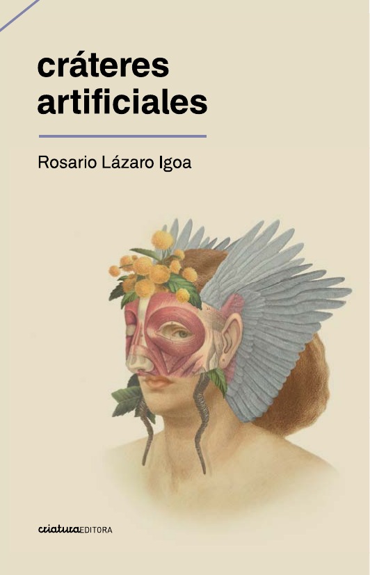 Portada de Cráteres artificiales