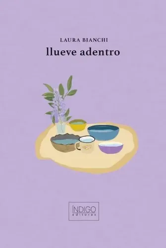 Portada de Llueve adentro